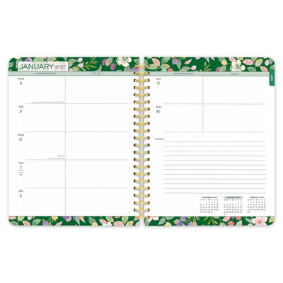 2027 BrownTrout House of Turnowsky 6.5" x 7.8" Calendar Year Weekly Standard Planner, Multicolor (9798330713455)
