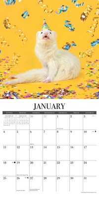 2026 Willow Creek Modern Ferret 12" x 12" Monthly Wall Calendar (51962)