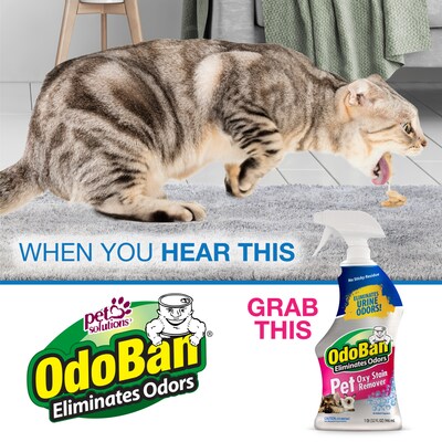 ODOBAN Pet Oxy Laundry Stain Remover Spray, 32 oz. (961561-Q6)
