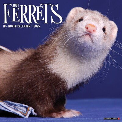 2025 Willow Creek Ferrets 12 x 12 Monthly Wall Calendar (42892)