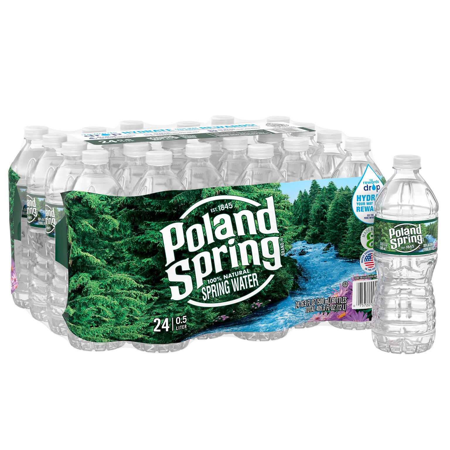 Poland Spring 100% Natural Spring Water, Regular Flavor, 16.9 oz., 24/Carton (12119419)