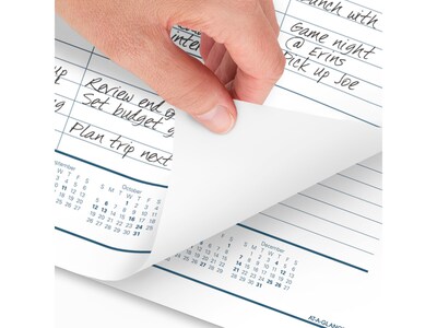 2025 AT-A-GLANCE Success 21.75" x 17" Monthly Desk Pad Calendar, White/Blue (ST24-00-25)