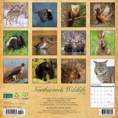 2025 Willow Creek Northwoods Wildlife 12 x 12 Monthly Wall Calendar (44230)