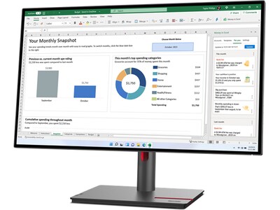 Lenovo ThinkVision P27h-30 27" 60 Hz LCD Monitor, Raven Black (63A1GAR1US)