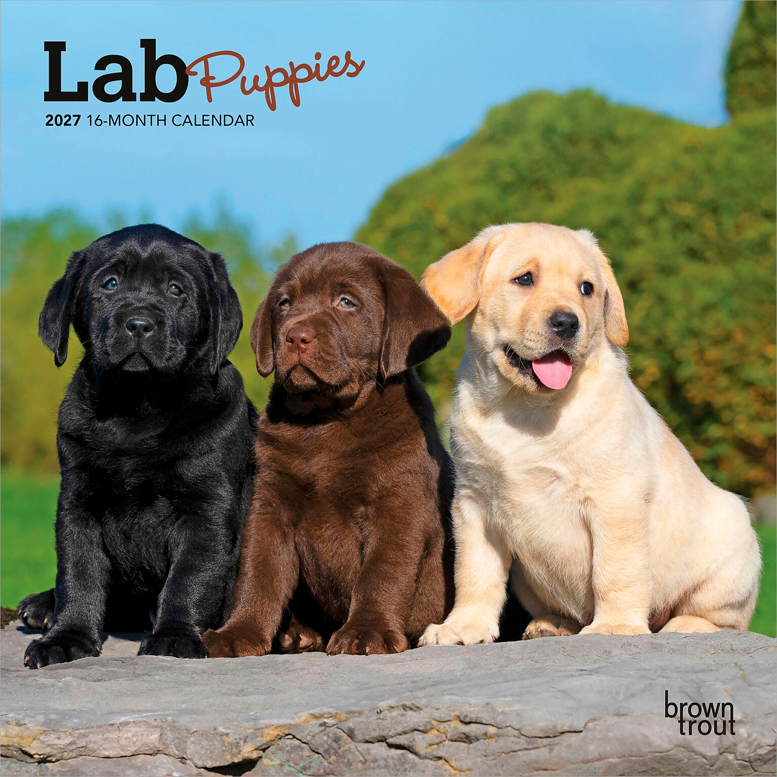 2027 BrownTrout Lab Puppies 7 x 7 Monthly Wall Calendar (9798330710027)