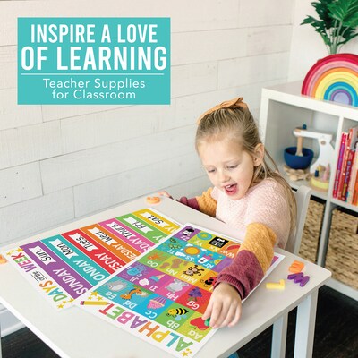 Hadley Designs 17" x 11" Colorful Preschool Educational Posters For Toddlers, Laminated, 16/Set (HDDX004ACAK4L)