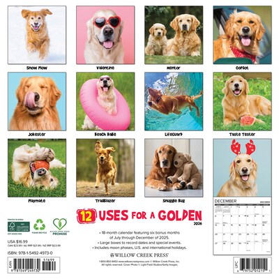 2026 Willow Creek 12 Uses for a Golden 12 x 12 Monthly Wall Calendar (49730)