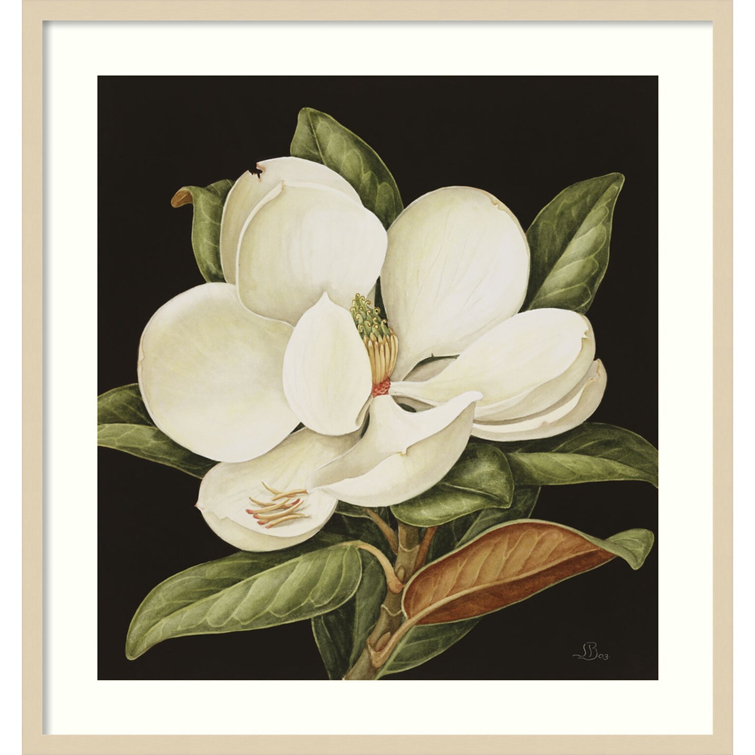 Amanti Art Magnolia Grandiflora 2003 by Jenny Barron Wood Framed Wall Art Print, 31 x 33 (A42675530231)