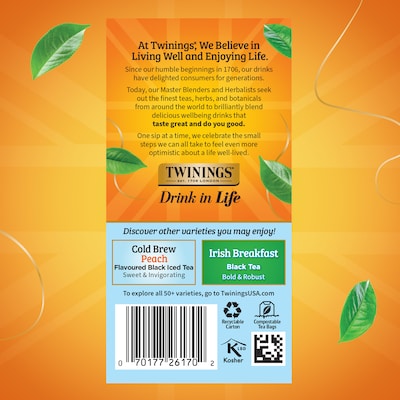 Twinings Iced Cold Brewed Mint Green Tea Bags, 20/Box (F07413)