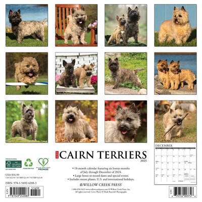 2025 Willow Creek Just Cairn Terriers 12 x 12 Monthly Wall Calendar (42083)