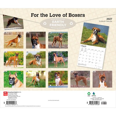 2027 BrownTrout For the Love of Boxers 14 x 12 Monthly Wall Calendar, Assorted Colors (9798330709236)