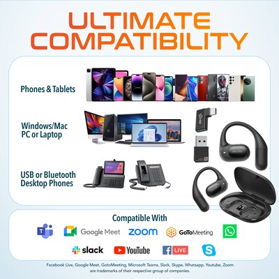 Delton O104 Open-Ear Wireless Bluetooth Earbuds with Charging Case, USB-C/A, Black (DBHO104)
