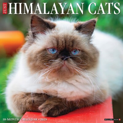 2025 Willow Creek Just Himalayan Cats 12 x 12 Monthly Wall Calendar (43349)