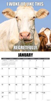 2027 Willow Creek Not in the Mooood 12" x 12" Monthly Wall Calendar (61558)