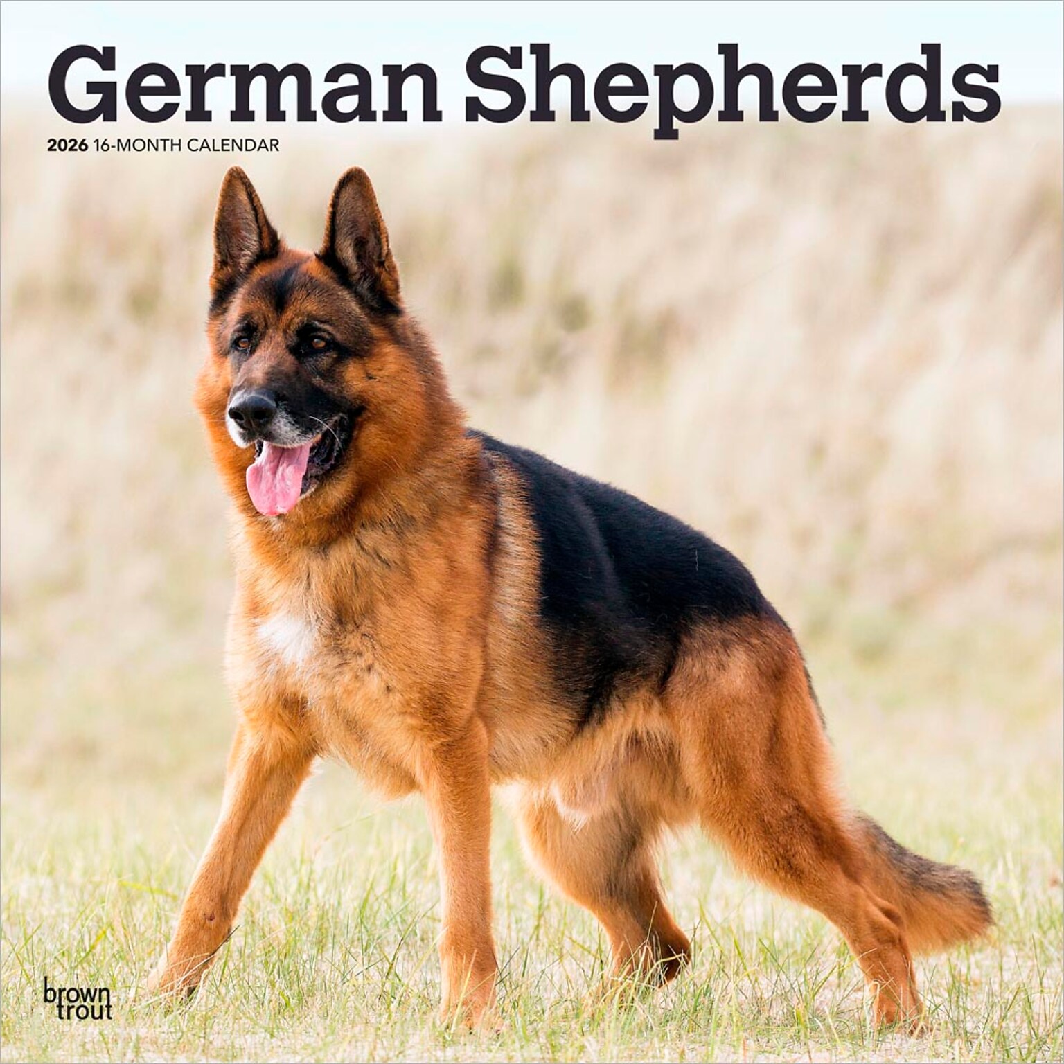 2026 BrownTrout German Shepherds 12 x 12 Monthly Wall Calendar (9798330703388)