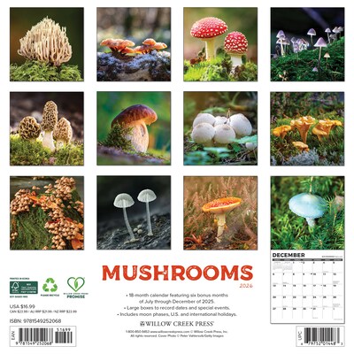 2026 Willow Creek Mushrooms 12 x 12 Monthly Wall Calendar (52068)
