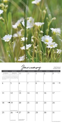 2026 Willow Creek Wildflowers 12 x 12 Monthly Wall Calendar (53294X)