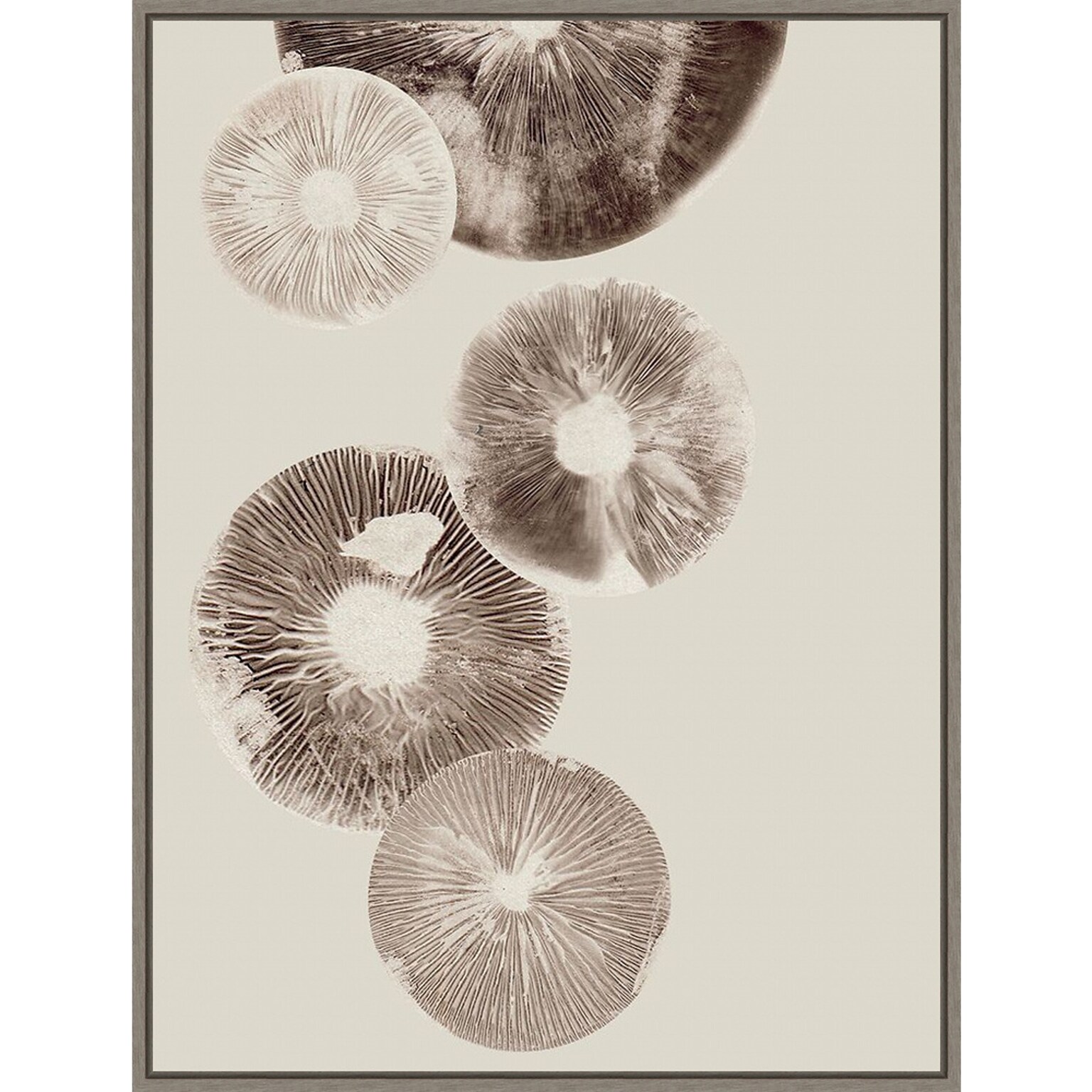 Amanti Art Mushroom 6 Light Brown by Pernille Folcarelli Framed Canvas Wall Art Print, 32 x 42 (A42677747977)