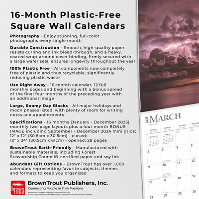 2025 BrownTrout A Perfect Storm 12" x 12" Monthly  Wall Calendar (9781975474416)