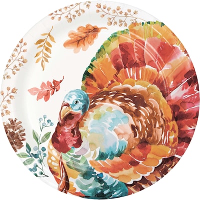 Say Hooray! Tasteful Turkey Paper Plates and Napkins Kit, Multicolored, 48/Pack (DTC9386E2G)