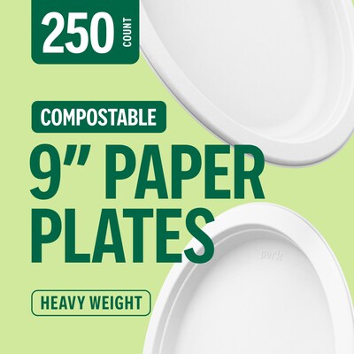 Perk™ Eco Compostable Paper Plates, 9", White, 250/Pack (PK61287)