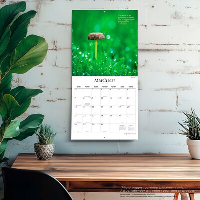 2027 BrownTrout Magic Mushrooms 12" x 12" Monthly Wall Calendar (9798330714025)