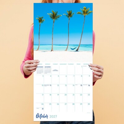 2027 TF Publishing Tropical Beaches 10" x 12" Monthly Wall Calendar, Multicolored (27-1030)