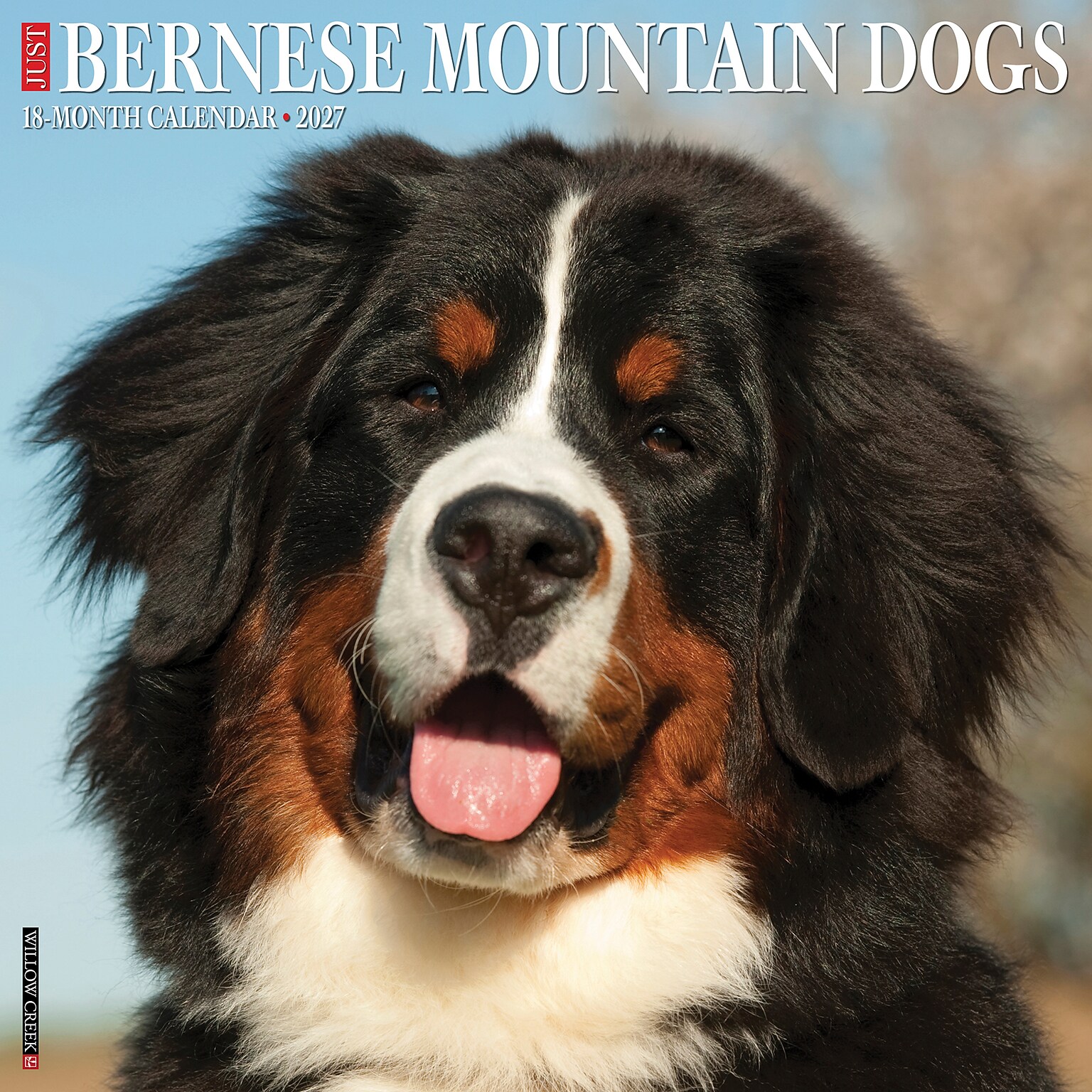 2027 Willow Creek Bernese Mountain Dogs 12 x 12 Monthly Wall Calendar, Assorted Colors (59135)