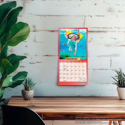 2027 BrownTrout Avanti Funny Farm 7" x 7" Monthly Wall Calendar, Assorted Colors (9798330712977)