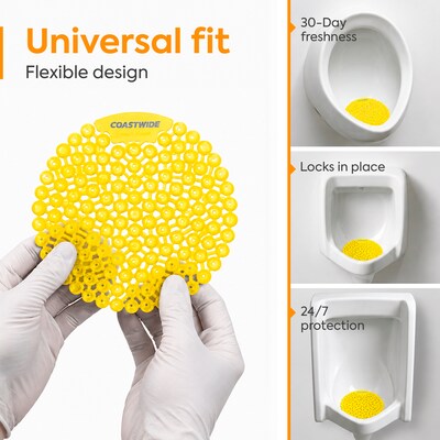 Coastwide Professional Urinal Screen, Citrus Scent, 10/Box