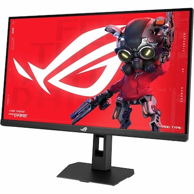 ASUS ROG Strix 27 4K UHD Fast IPS 162Hz LCD Gaming Monitor, HDR400, Height Adjustable, Black (XG27UCGR)