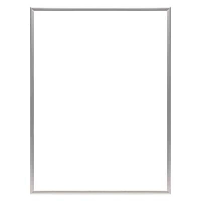 Excello Global Products 16" x 20" Plastic Poster Frame (PPFRM-1620-SLV)