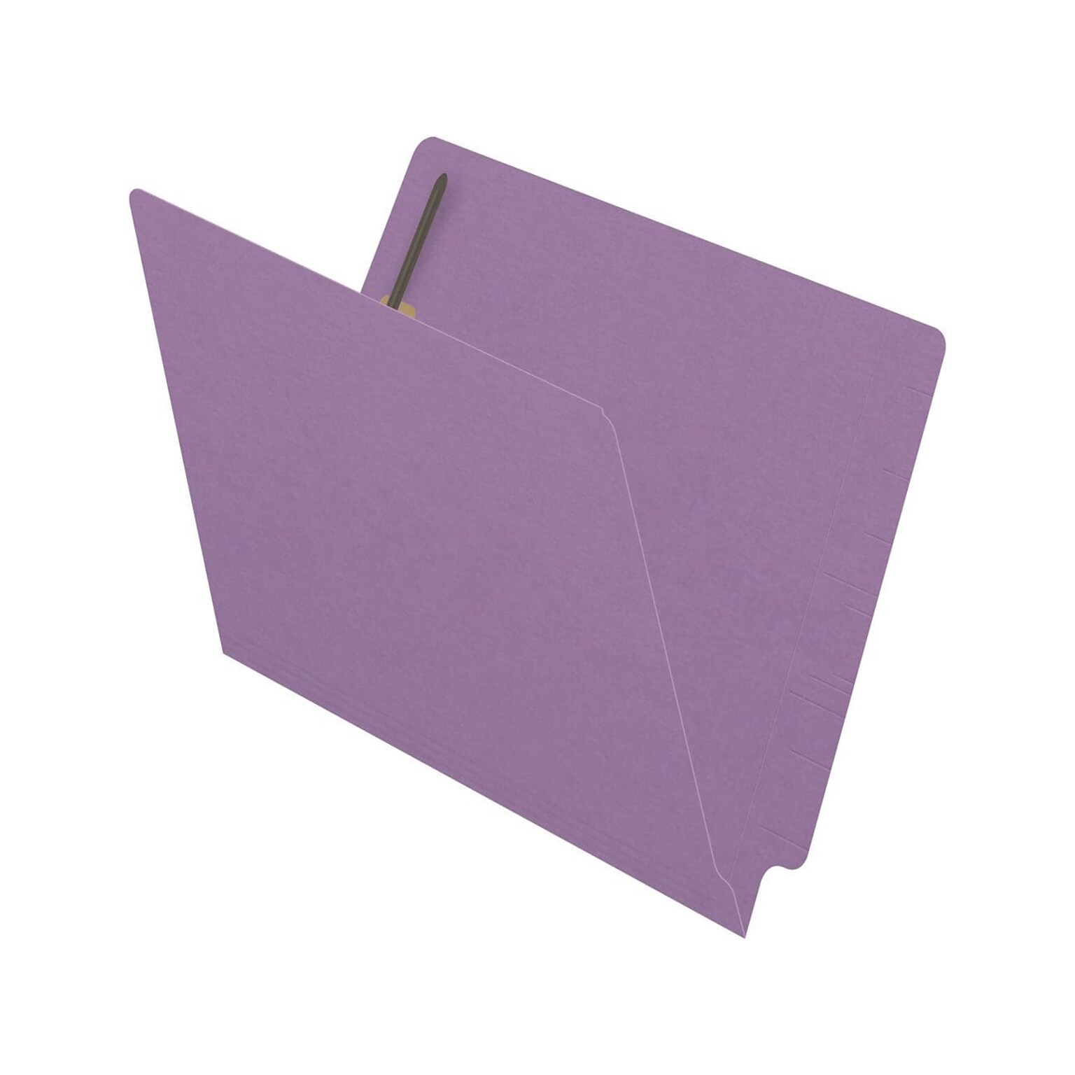 Medical Arts Press Reinforced End Tab File Folder, Straight Cut, Letter-Size, Lavender, 250/Carton (S-01602-LAV-B)