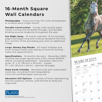 2025 Plato Magnificent Horses 12" x 12" Monthly Square Wall Calendar (9781975478995)