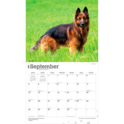 2027 BrownTrout For the Love of German Shepherds 14" x 12" Monthly Wall Calendar, Assorted Colors (9798330709250)