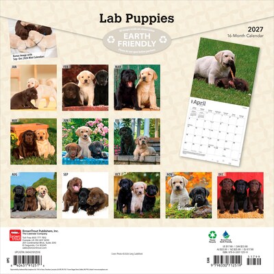 2027 BrownTrout Labrador Retriever Puppies 12 x 12 Monthly Wall Calendar (9798330712519)