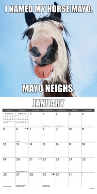 2025 Willow Creek Horsin’ Around 12" x 12" Monthly Wall Calendar (43394)