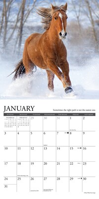 2027 Willow Creek What Horses Teach Us 7" x 7" Monthly Wall Calendar, Assorted Colors (64290)