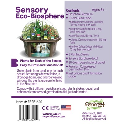 Fernroot Sensory Biosphere, Multicolored (SRCEBRB620)