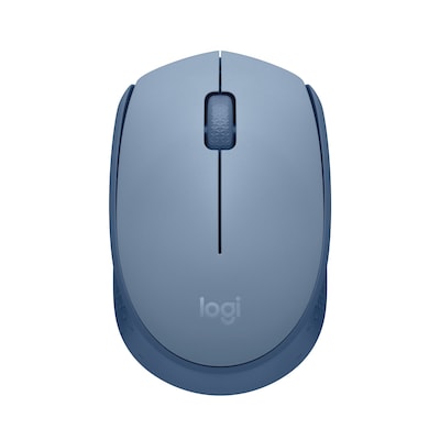 Logitech M170 Wireless Ambidextrous Optical Mouse, Blue/Gray (910-006863)