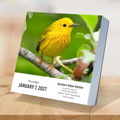 2027 TF Publishing Birds: Backyard 5.25" x 5.25" Daily Day-to-Day Calendar, Multicolored (27-3068)
