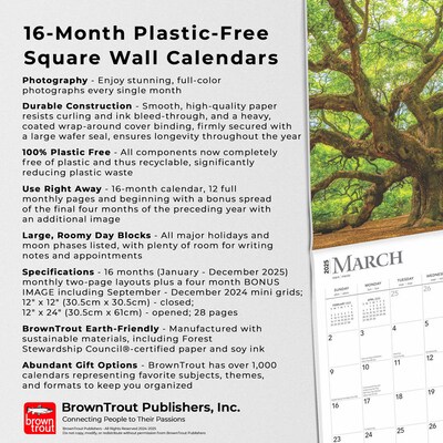 2025 BrownTrout The Majesty of Trees 12" x 12" Monthly Square Wall Calendar (9781975477394)