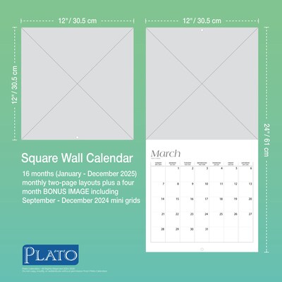 2025 Plato Simplicity 12" x 24" Monthly Square Wall Calendar (9781975478810)