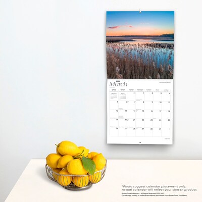 2023 BrownTrout Cape Cod 12" x 24" Monthly Wall Calendar, (9781975451394)