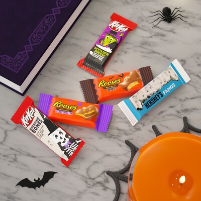 Hershey's Snack Size Assorted Flavored Chocolate Variety Bag, 17.28 oz., 30 Pieces (HEC45891)