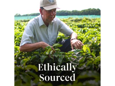 Starbucks Sunsera Blend Coffee Packets, Light Roast, 2.5 oz., 18 Packs/Box, 4 Boxes/Case (12607833)