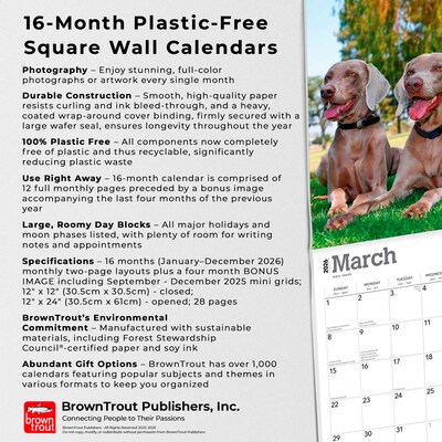 2026 BrownTrout Weimaraners 12" x 12" Monthly Wall Calendar (9798330706211)