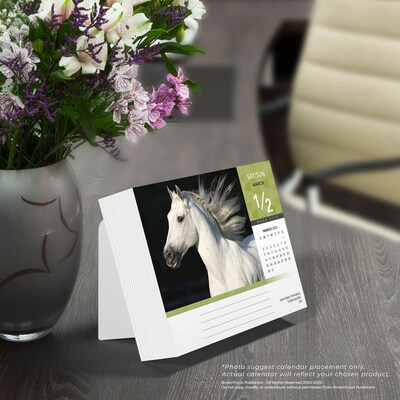 2025 BrownTrout Horse Lovers 6" x 5" Day-to-Day Desktop Box Calendar (9781975478421)