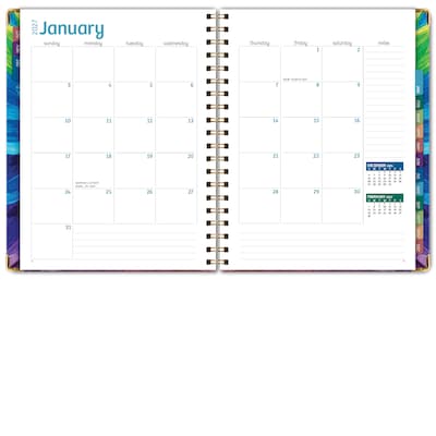 2027 Excello Brands 9" x 11" Weekly & Monthly Standard Planner, Paperboard Cover, Rainbow Petals (FSHN-CY27-8511-41)