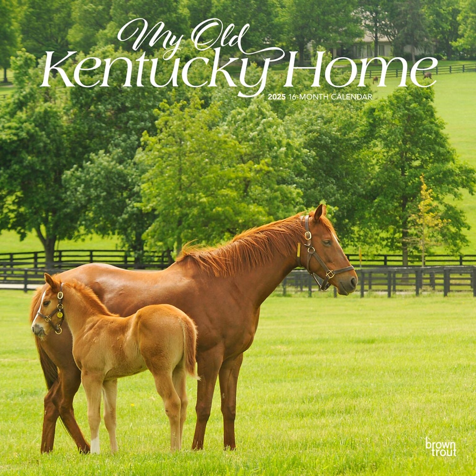 2025 BrownTrout My Old Kentucky Home Kentucky Places 12 x 12 Monthly Square Wall Calendar (9781975482992)